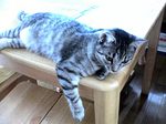 DSC00014.jpg