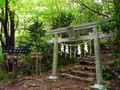 P1050415.jpg