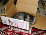 P4010003.jpg