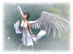 fairy_bird2_image.jpg