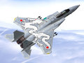 F15_05.jpg